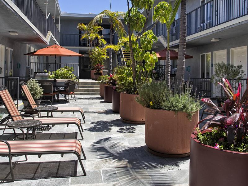 Hotel Courtyard with Lounges, Tables, Umbrellas, Chairs, and BBQ's